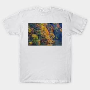 lake T-Shirt